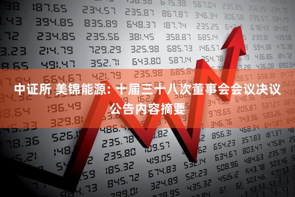 中证所 美锦能源: 十届三十八次董事会会议决议公告内容摘要