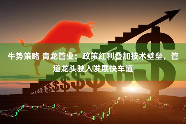 牛势策略 青龙管业：政策红利叠加技术壁垒，管道龙头驶入发展快车道
