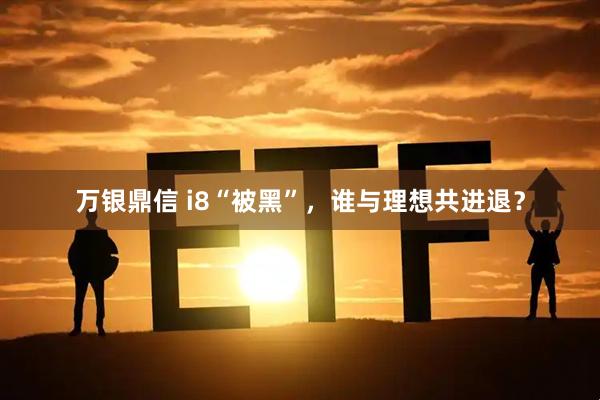 万银鼎信 i8“被黑”，谁与理想共进退？