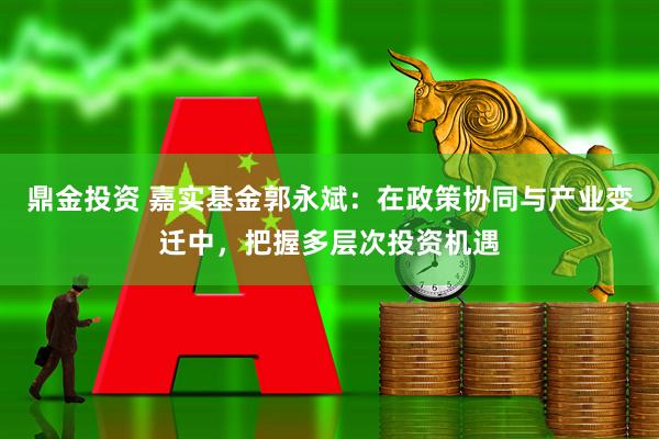 鼎金投资 嘉实基金郭永斌：在政策协同与产业变迁中，把握多层次投资机遇